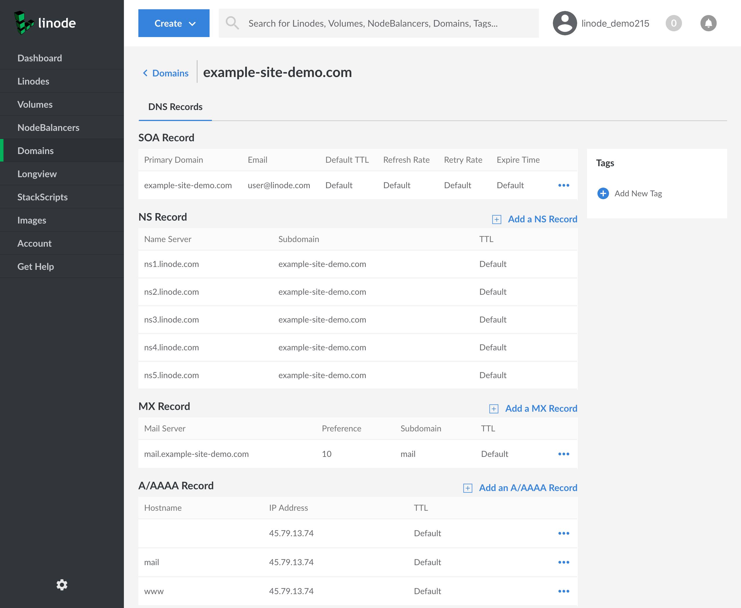 The SOA record is set to &ldquo;example-site-demo.com&rdquo;. The NS records are set to &ldquo;ns1.linode.com&rdquo; through &ldquo;ns5.linode.com&rdquo;, inclusive. The MX record is set to &ldquo;mail.example-site-demo.com&rdquo;. There are A records for [blank], which is the primary domain, and the &ldquo;mail&rdquo; and &ldquo;www&rdquo; subdomains. They are all set to the same IP.